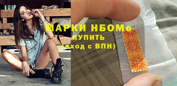 прущий лед Алзамай