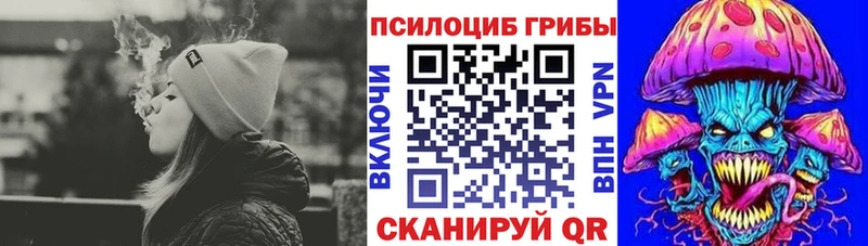 omg онион  Полевской  Галлюциногенные грибы Psilocybine cubensis 